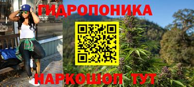 сатива Краснокаменск