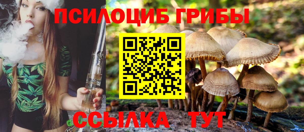 Псилоцибиновые грибы Magic Shrooms  Галлюциногенные грибы Cubensis  Тейково  Вход с VPN 